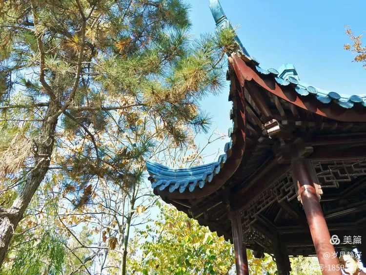 苏风秋韵看《东园》